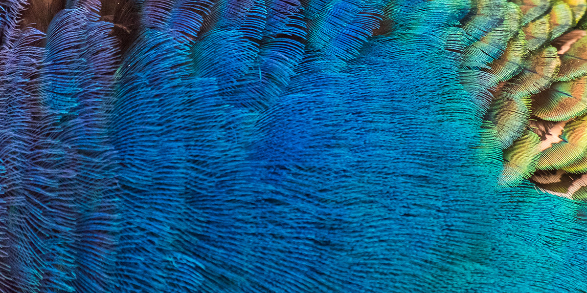 Announcements (RNS) The Lindsell Investment Trust plc